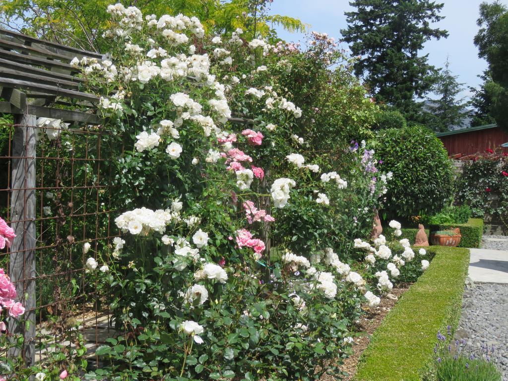 Marchmont Gardens Bed & Breakfast Hanmer Springs Luaran gambar