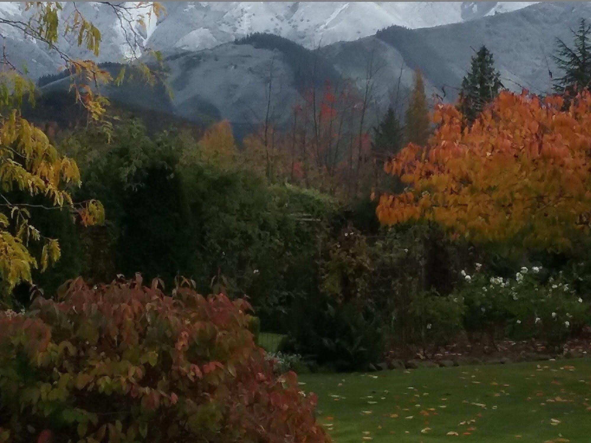 Marchmont Gardens Bed & Breakfast Hanmer Springs Luaran gambar