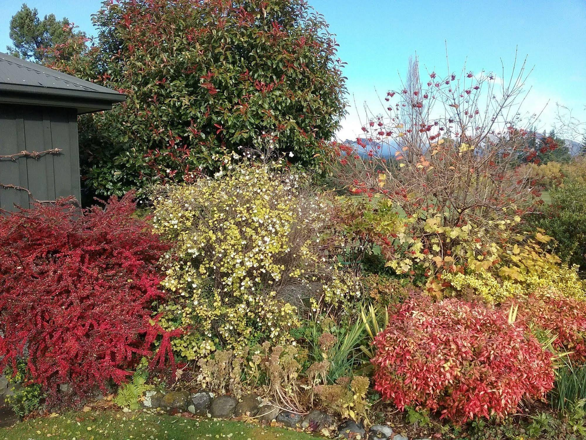 Marchmont Gardens Bed & Breakfast Hanmer Springs Luaran gambar