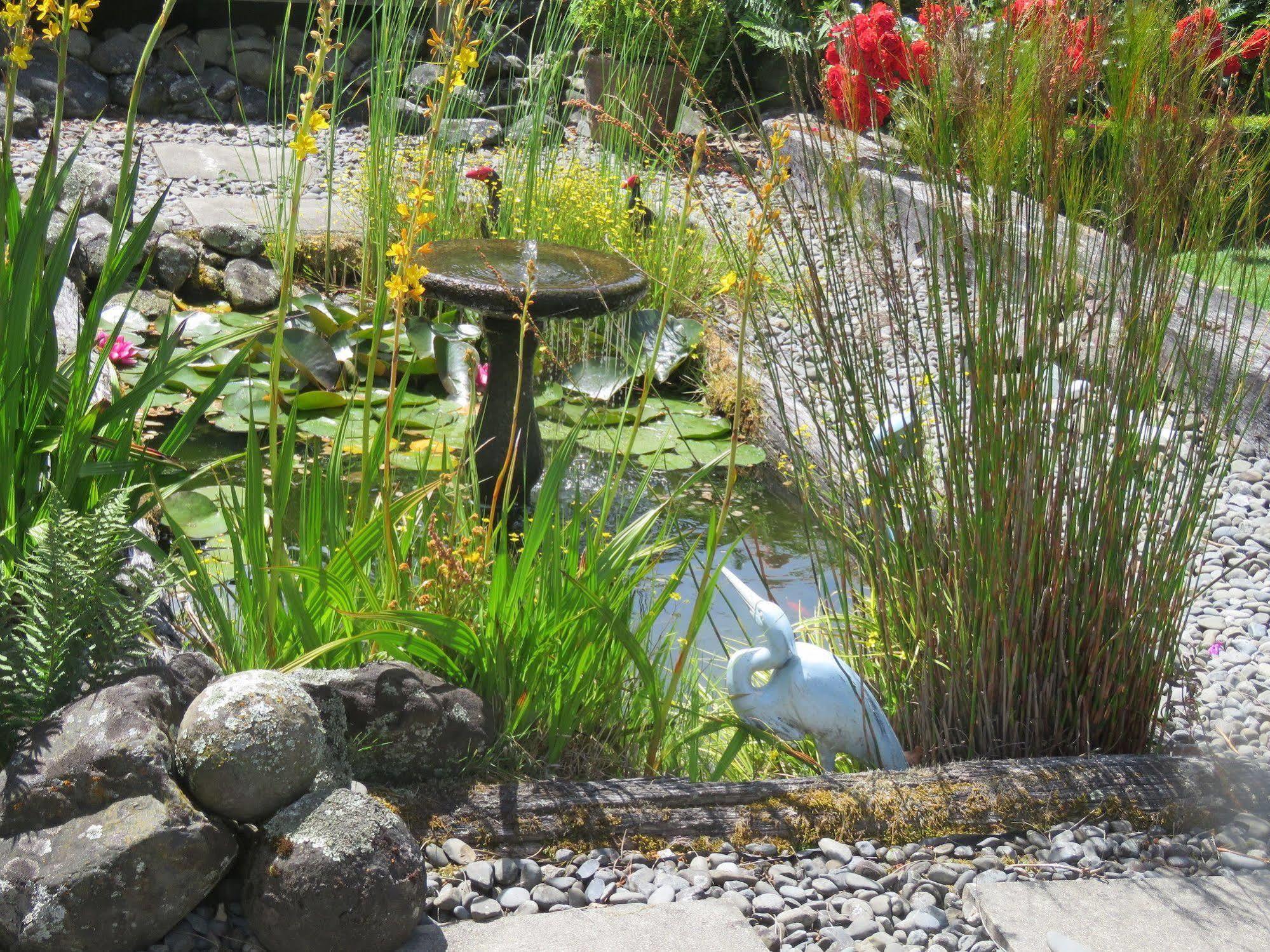 Marchmont Gardens Bed & Breakfast Hanmer Springs Luaran gambar
